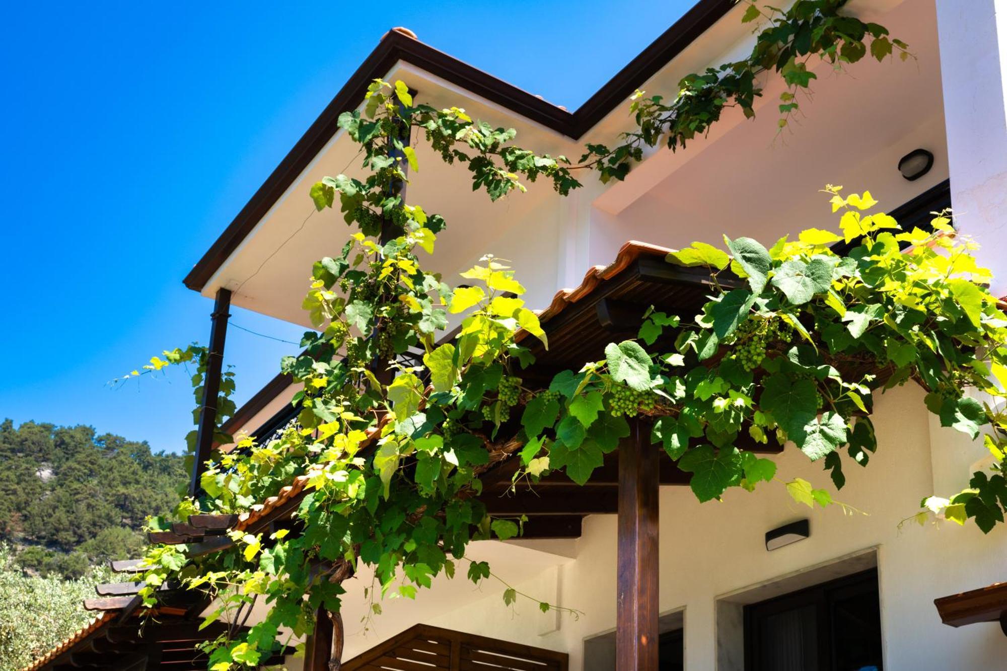 Island View Villa Golden Beach  Екстер'єр фото